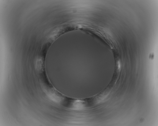 X0000092010222200709061539