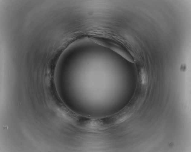 X0000092010223200709061539