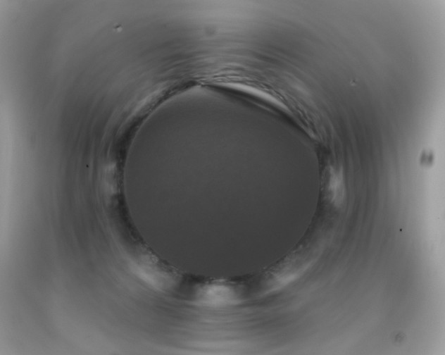 X0000092010224200709061539