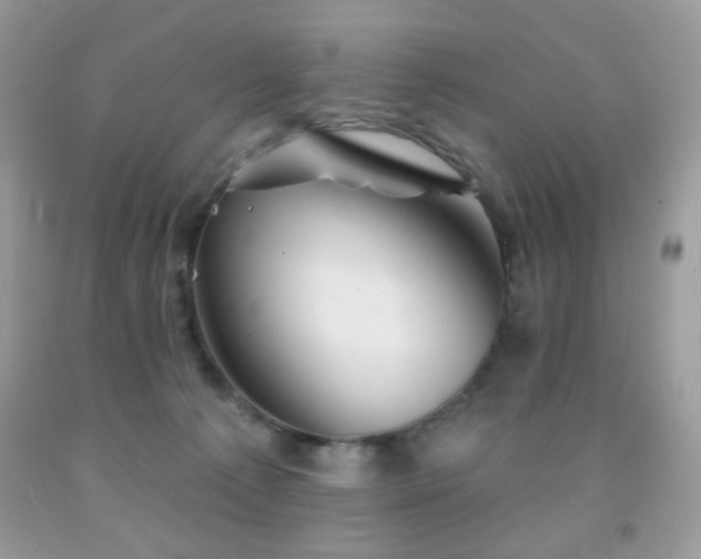 X0000092010225200709061539