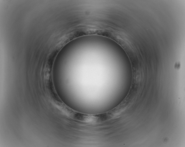 X0000092010226200709061539