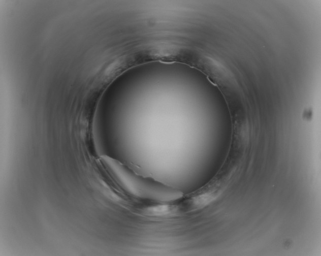 X0000092010227200709061539
