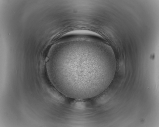 X0000092010228200709061539