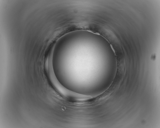 X0000092010229200709061539