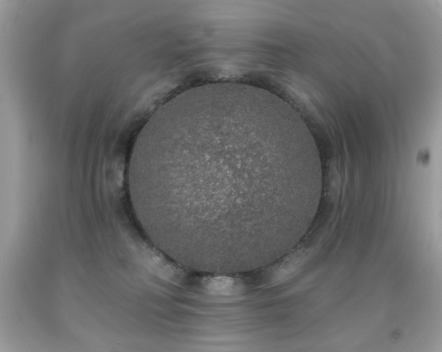 X0000092010230200709061539