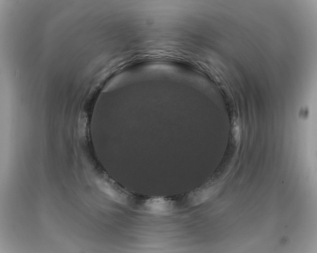 X0000092010231200709061539