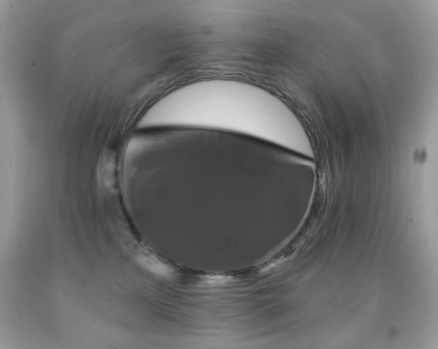 X0000092010233200709061539