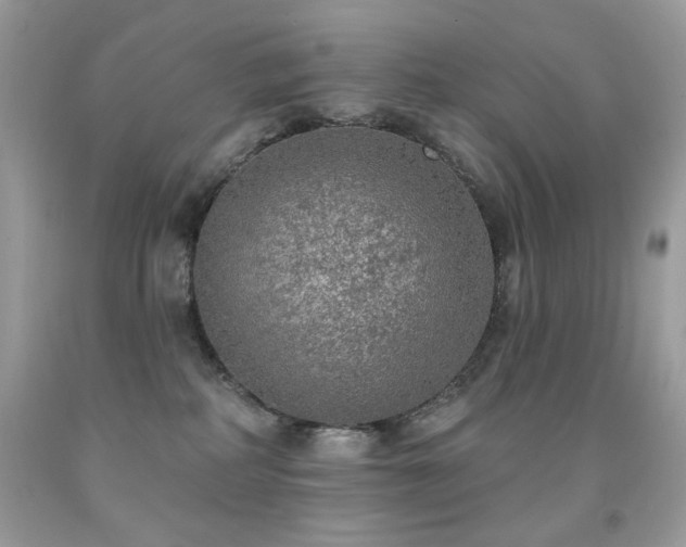 X0000092010234200709061539