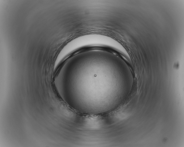 X0000092010235200709061539