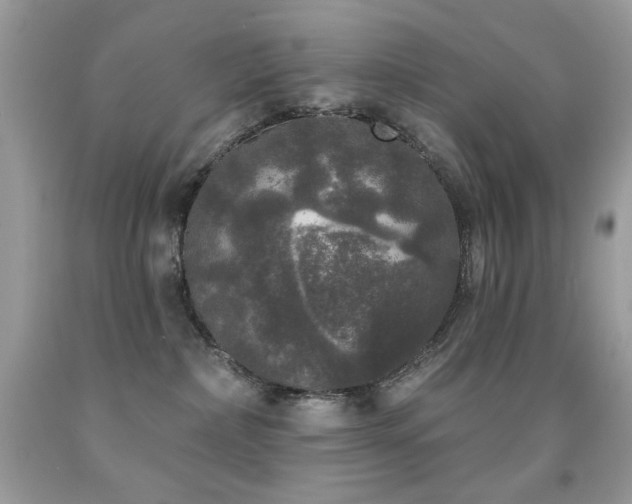 X0000092010236200709061539