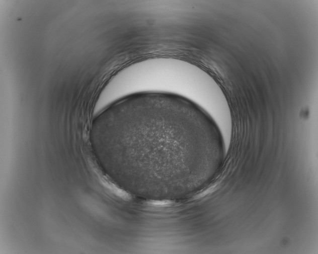 X0000092010237200709061539