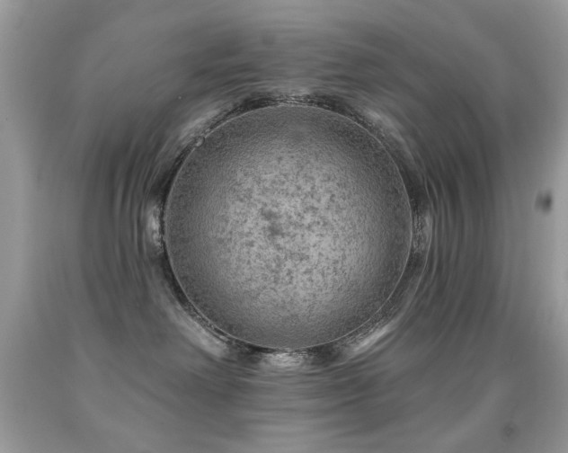 X0000092010238200709061539