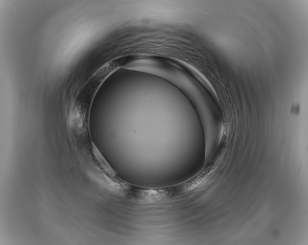 X0000092010239200709061539