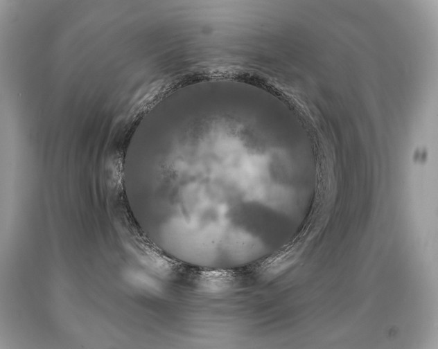 X0000092010240200709061539