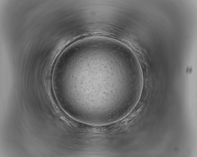 X0000092010241200709061538