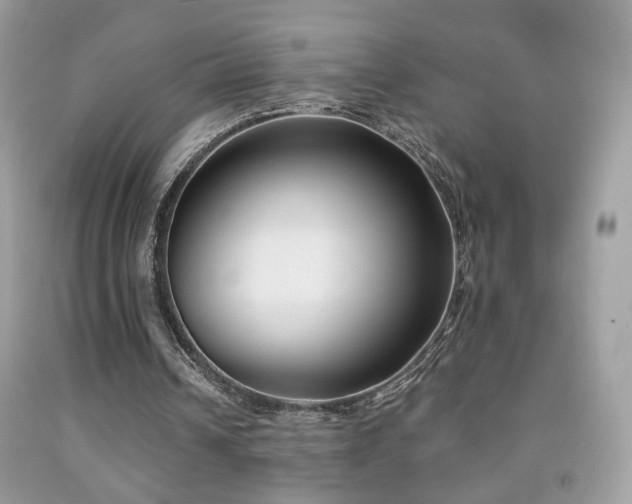 X0000092010242200709061538