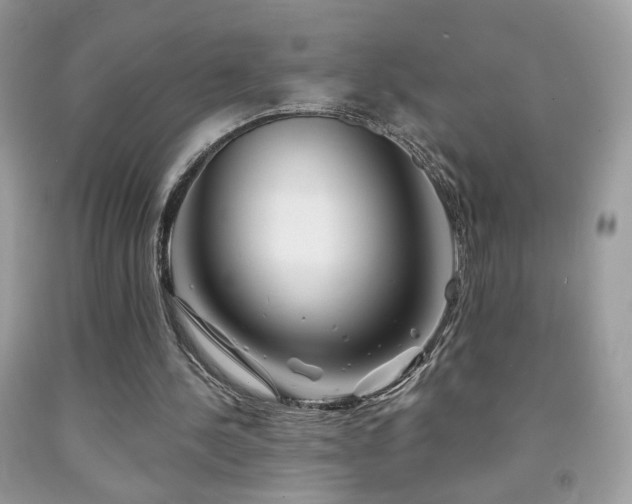 X0000092010244200709061538