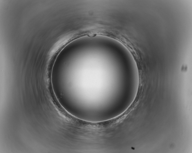 X0000092010245200709061538