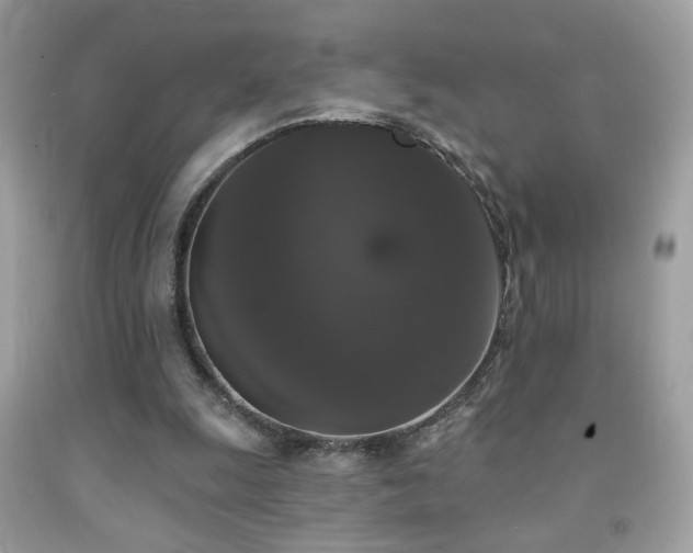 X0000092010247200709061538