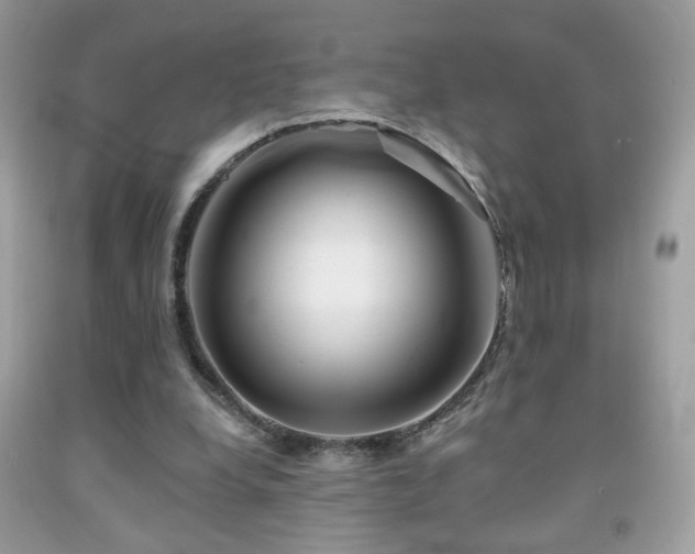 X0000092010248200709061538