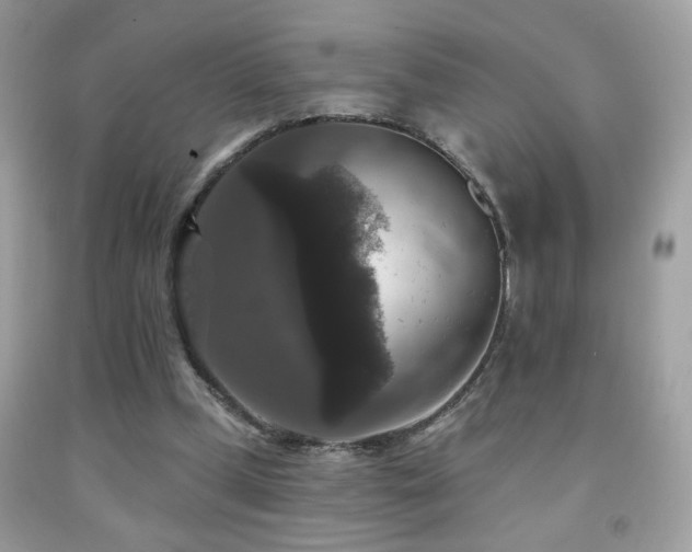 X0000092010249200709061538