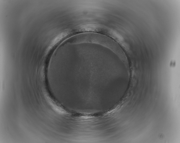 X0000092010250200709061538