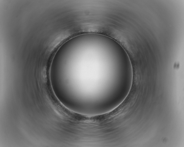 X0000092010251200709061538