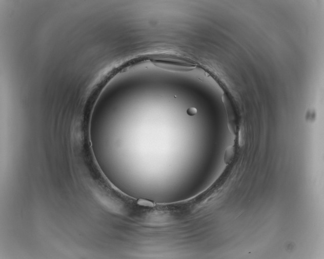 X0000092010252200709061538
