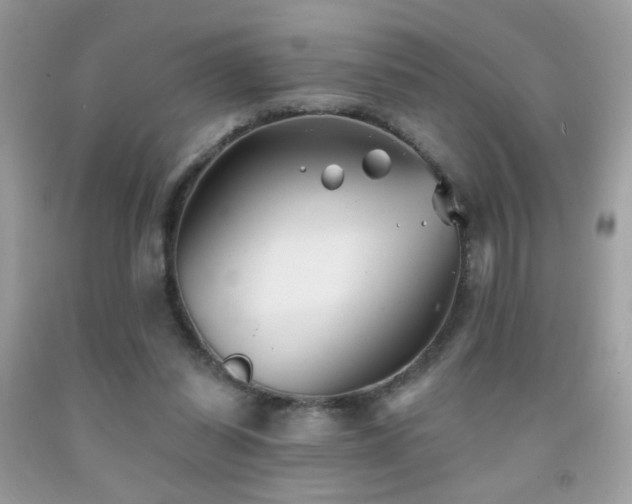 X0000092010254200709061538