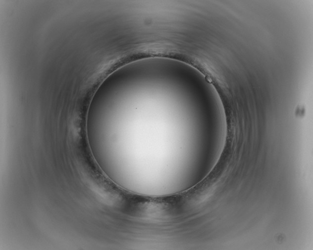 X0000092010255200709061538