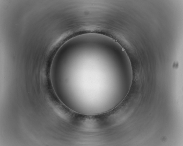 X0000092010256200709061538