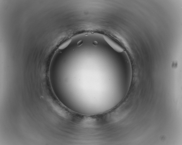 X0000092010257200709061538