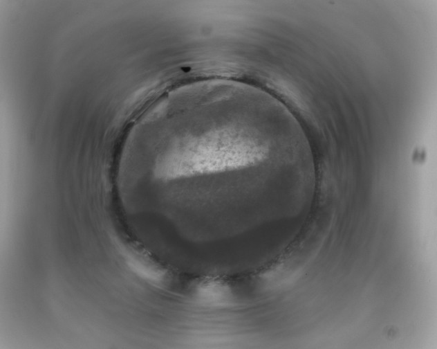 X0000092010258200709061538