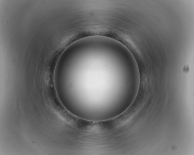 X0000092010259200709061538