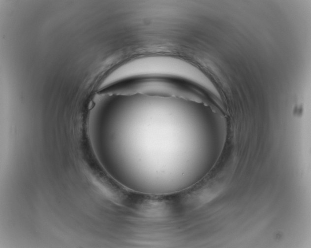 X0000092010260200709061538