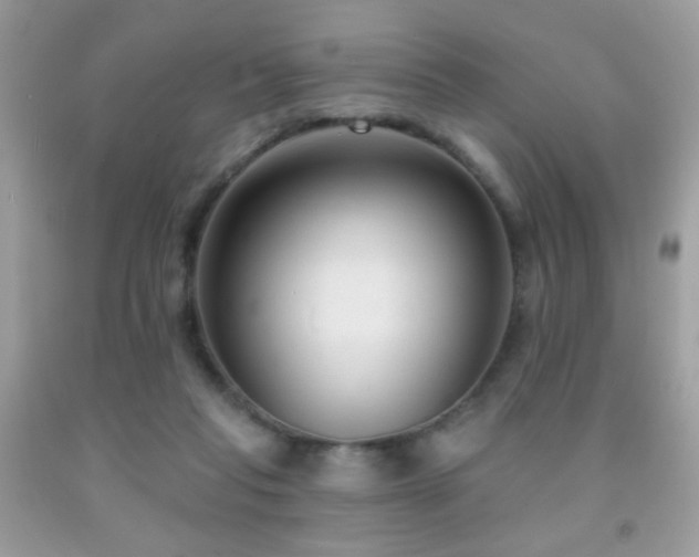 X0000092010261200709061538