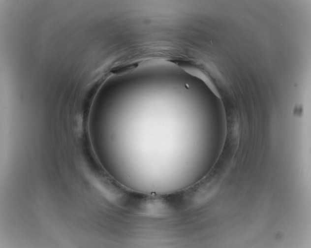 X0000092010262200709061538