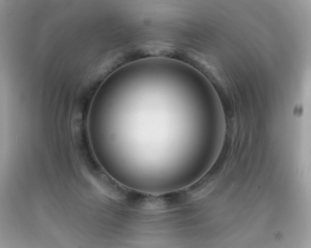 X0000092010263200709061538