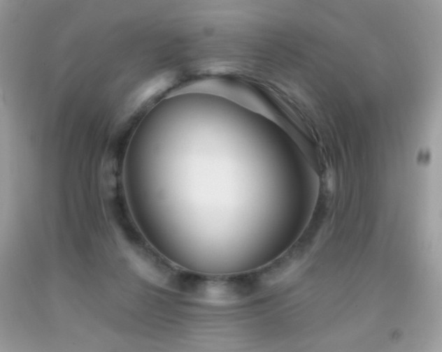 X0000092010264200709061538