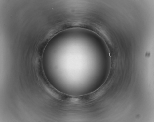 X0000092010265200709061538