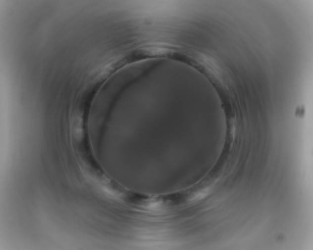 X0000092010267200709061538