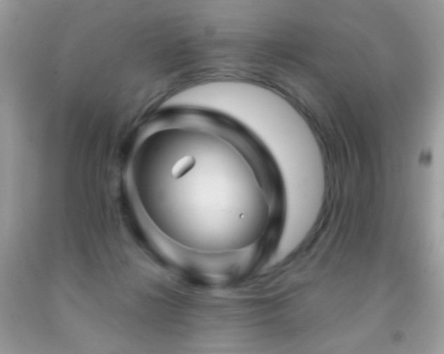 X0000092010268200709061538