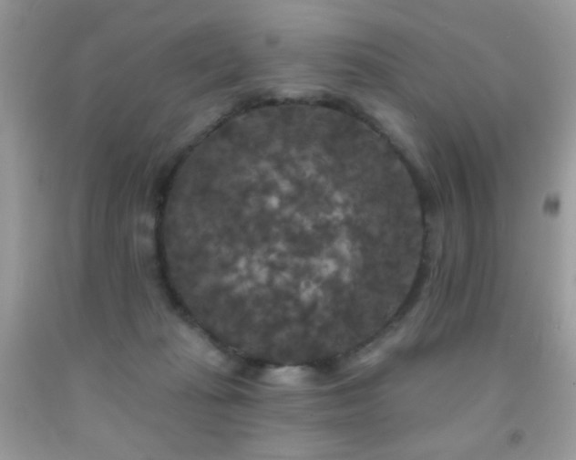 X0000092010269200709061538