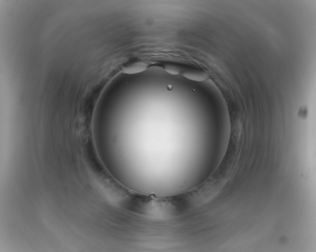 X0000092010270200709061539