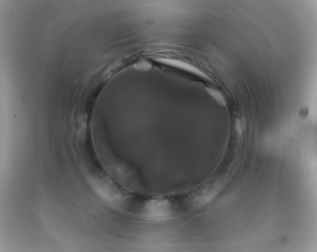 X0000092010271200709061539