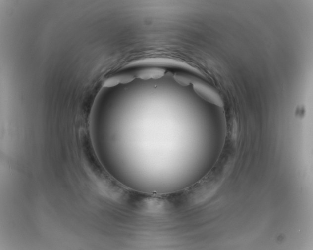 X0000092010272200709061539
