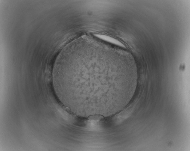 X0000092010273200709061539