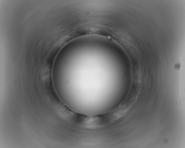 X0000092010274200709061539