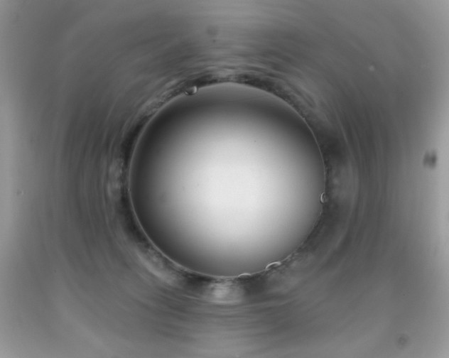 X0000092010275200709061539