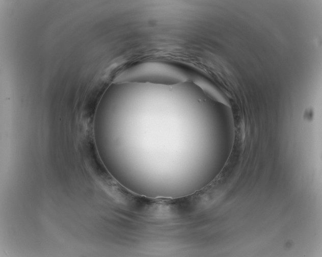 X0000092010276200709061539